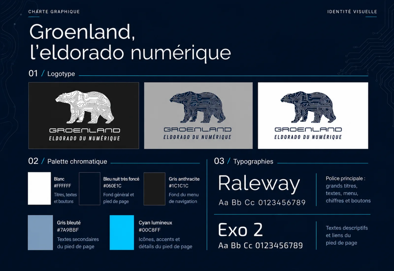 Charte graphique du site éditorial Groenland, l’eldorado numérique : logotype, palette chromatique et typographies